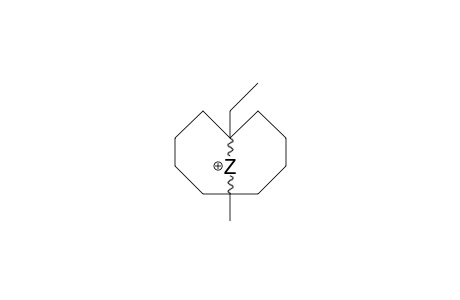 1-Ethyl-6-methyl.my.-hydrido-cyclodecyl cation