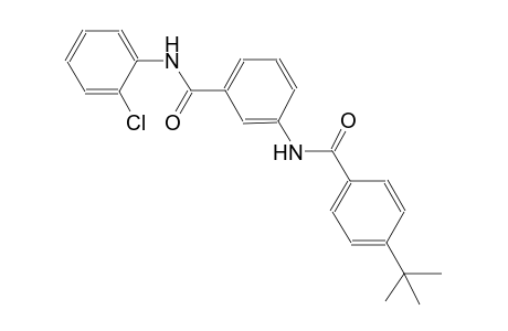 3-[(4-tert-butylbenzoyl)amino]-N-(2-chlorophenyl)benzamide
