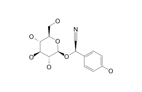 [2R-BETA-D-GLUCOPYRANOSYLOXY-2-(4-HYDROXY)-PHENYLACETONITRILE];TAXIPHYLLIN