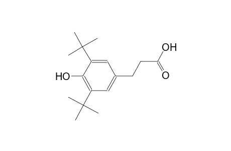 3-(3,5-Ditert-butyl-4-hydroxyphenyl)propanoic acid
