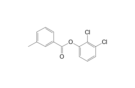 3-Methylbenzoic acid, 2,3-dichlorophenyl ester