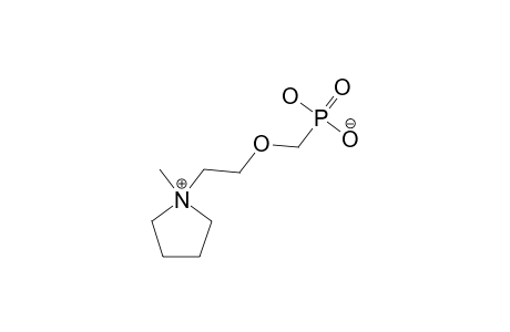 O-PHOSPHONATOMETHYL-2-(N-METHYL-PYRROLIDINIUM)-ETHANOL