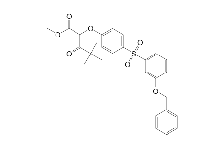 Pentanoic acid, 4,4-dimethyl-3-oxo-2-[4-[[3-(phenylmethoxy)phenyl]sulfonyl]phenoxy]-, methyl ester