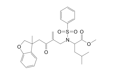 Methyl 4-methyl-2-{2-[2-(3-methyl-2,3-dihydro-benzo[b]furan-3-yl)acetyl]allyl(phenyl)sulphonamido}pentanoate