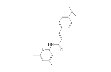 (2E)-3-(4-tert-butylphenyl)-N-(4,6-dimethyl-2-pyridinyl)-2-propenamide