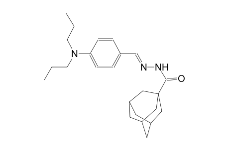 tricyclo[3.3.1.1~3,7~]decane-1-carboxylic acid, 2-[(E)-[4-(dipropylamino)phenyl]methylidene]hydrazide