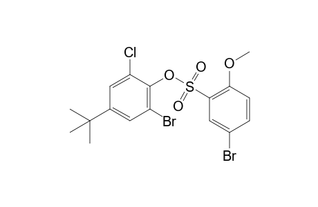 2-bromo-4-tert-butyl-6-chlorophenol, 5-bromo-2-methoxybenzenesulfonate