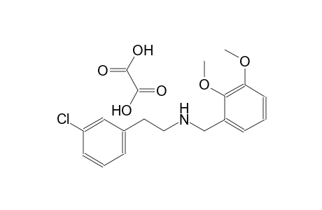 N-[2-(3-chlorophenyl)ethyl]-N-(2,3-dimethoxybenzyl)amine oxalate