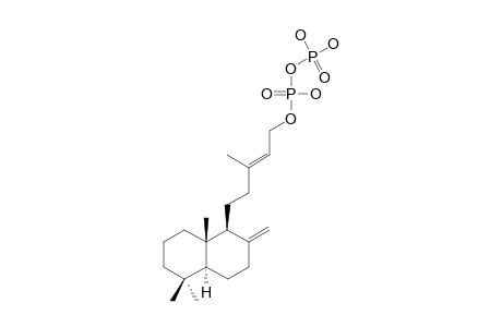 COPALYL-DIPHOSPHATE