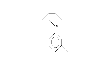 2-(3,4-Dimethyl-phenyl)-2-norbornyl cation