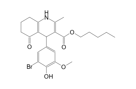 pentyl 4-(3-bromo-4-hydroxy-5-methoxyphenyl)-2-methyl-5-oxo-1,4,5,6,7,8-hexahydro-3-quinolinecarboxylate