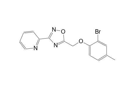 pyridine, 2-[5-[(2-bromo-4-methylphenoxy)methyl]-1,2,4-oxadiazol-3-yl]-