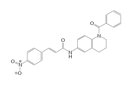 (2E)-N-(1-benzoyl-1,2,3,4-tetrahydro-6-quinolinyl)-3-(4-nitrophenyl)-2-propenamide
