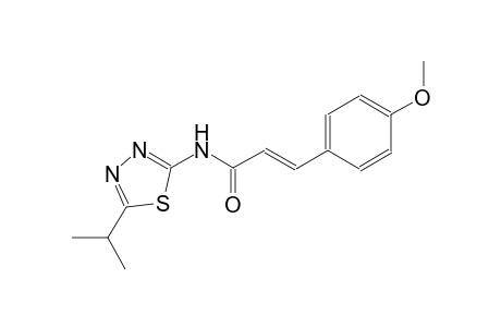 (2E)-N-(5-isopropyl-1,3,4-thiadiazol-2-yl)-3-(4-methoxyphenyl)-2-propenamide