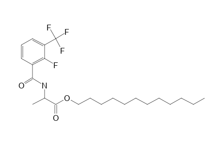 D-Alanine, N-(2-fluoro-3-trifluoromethylbenzoyl)-, dodecyl ester