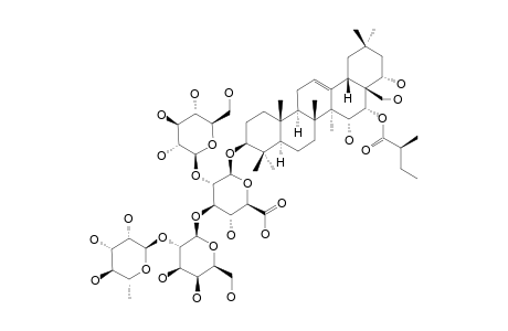 #2;SANCHAKASAPONIN-B;16-O-(S)-2-METHYLBUTYROYL-A1-BARRIGENOL-3-O-BETA-D-GLUCOPYRANOSYL-(1->2)-[ALPHA-L-RHAMNOPYRANOSYL-(1->2)-BETA-D-GALACTOPYRANOSYL-(1->3)]-B