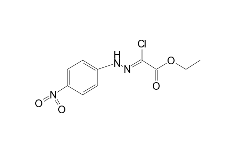 CHLOROGLYOXYLIC ACID, ETHYL ESTER, (p-NITROPHENYL)HYDRAZONE