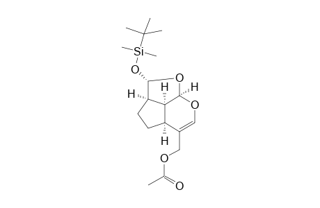 (2S,2aR,4aS,7aR,7bS)-5-acetoxymethyl-2a,3,4,4a,7a,7b-hexahydro-2-(t-butyldimethylsilyloxy)-2H-1,7-dioxacyclopenta[c,d]indene