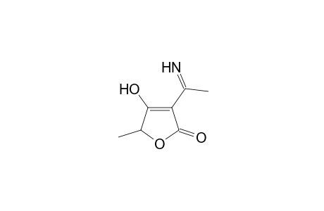 3-acetimidoyl-4-hydroxy-5-methyl-2(5H)-furanone