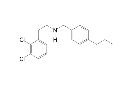 2-(2,3-Dichlorophenyl)-N-[(4-propylphenyl)methyl]ethan-1-amine