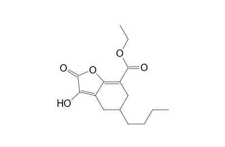 1-(Ethoxycarbonyl)-3-butyl-6-hydroxy-7-oxo-8-oxabicyclo[4.3.0]nona-5(6),1(9)-diene