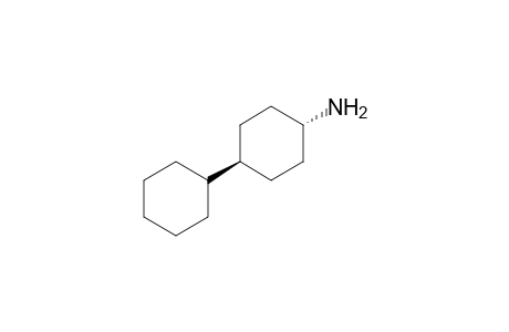 [1,1'-Bicyclohexyl]-4-amine, trans-