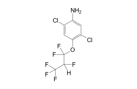 2,5-Dichloro-4-(1,1,2,3,3,3-hexafluoropropoxy)aniline