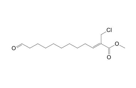 Methyl 11-formyl-2-chloromethyl-2(Z)-undecenoate