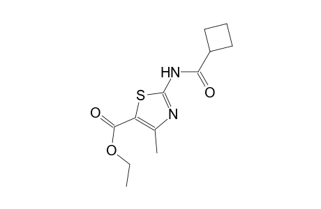 ethyl 2-[(cyclobutylcarbonyl)amino]-4-methyl-1,3-thiazole-5-carboxylate