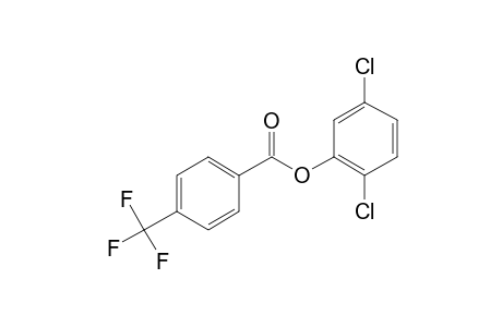 4-Trifluoromethylbenzoic acid, 2,5-dichlorophenyl ester