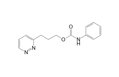 3-Pyridazin-3-ylpropyl N-phenylcarbamate