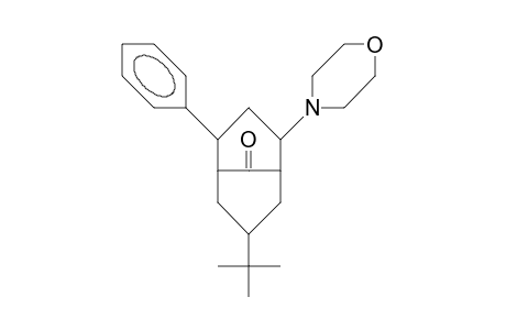 7-tert-Butyl-2-morpholino-4-phenyl-bicyclo(3.3.1)nonan-9-one