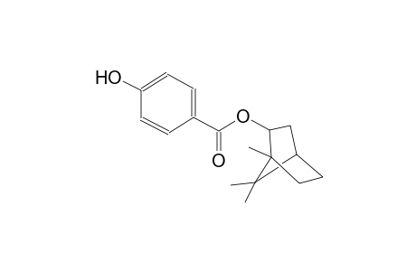 (4R)-1,7,7-trimethylbicyclo[2.2.1]hept-2-yl 4-hydroxybenzoate