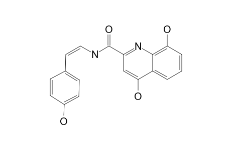 PERSPICAMIDE_B