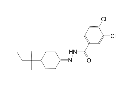 3,4-dichloro-N'-(4-tert-pentylcyclohexylidene)benzohydrazide