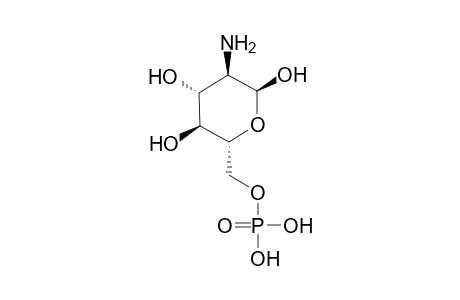 D-Glucosamine 6-phosphate