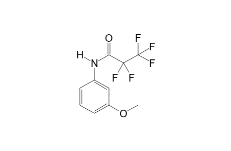 3-Methoxyaniline PFP