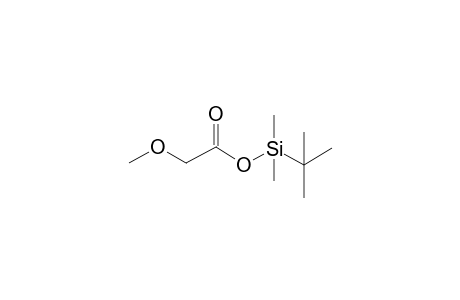 Methoxyacetic acid, tbdms derivative