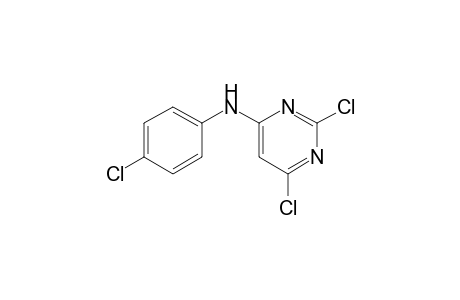 (4-chlorophenyl)-(2,6-dichloropyrimidin-4-yl)amine