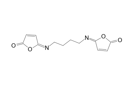 2(5H)-Furanone, 5,5'-(1,4-butanediyldinitrilo)bis-