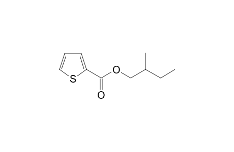 2-Thiophenecarboxylic acid, 2-methylbutyl ester