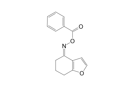 Benzofuran-4-one, 4,5,6,7-tetrahydro-, o-benzoyloxime