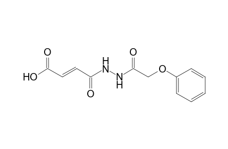 Hydrazine, 1-phenoxyacetyl-2-(3-carboxyprop-2-enoyl)-