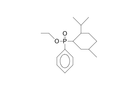 R(P)-L-(-)-Menthyl-phenyl-phosphinic acid, ethyl ester