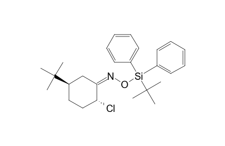 Cyclohexanone, 2-chloro-5-(1,1-dimethylethyl)-, O-[(1,1-dimethylethyl)diphenylsilyl]oxime, (1E,2.alpha.,5.beta.)-(.+-.)-