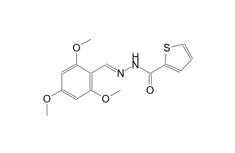 2-thiophenecarboxylic acid, 2-[(E)-(2,4,6-trimethoxyphenyl)methylidene]hydrazide