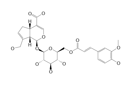LIPPIANOSIDE-B;6'-O-TRANS-FERULOYL-GENIPOSIDIC-ACID