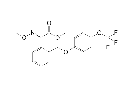 Benzeneacetic acid, alpha-(methoxyimino)-2-[[4-(trifluoromethoxy)phenoxy]methyl]-, methyl ester