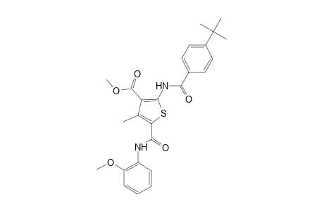 Methyl 2-[(4-tert-butylbenzoyl)amino]-5-[(2-methoxyanilino)carbonyl]-4-methyl-3-thiophenecarboxylate