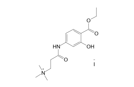 {2-[(4-CARBOXY-3-HYDROXYPHENYL)CARBAMOYL]ETHYL}TRIMETHYLAMMONIUM IODIDE, ETHYL ESTER